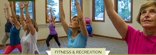 Willow Leaf In This Issue